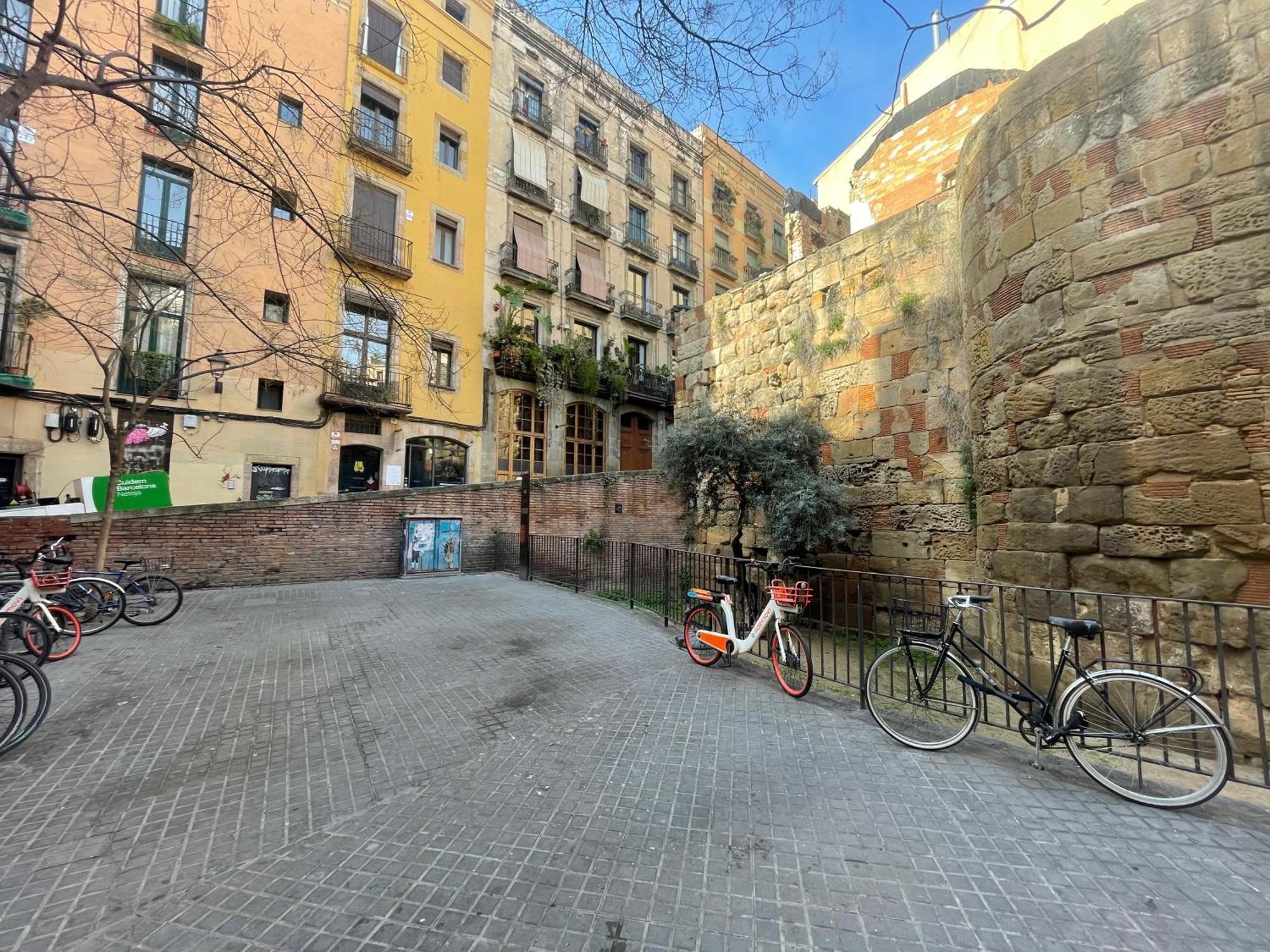 Original Duplex In The Center Of Barcelona, Barcelona